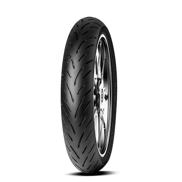 Dunlop GRP-300 110/70 R17