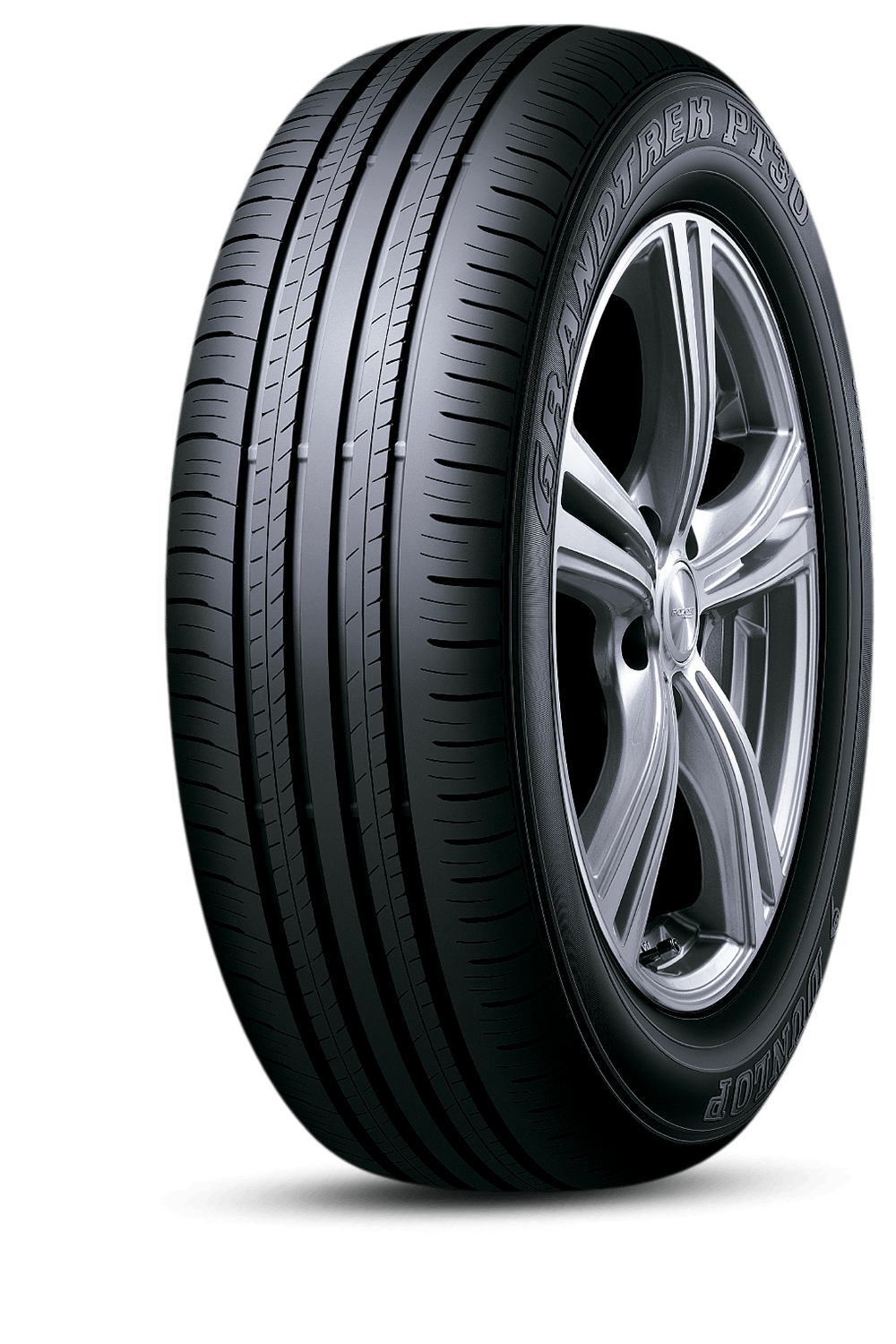 Dunlop GRANDTREK PT30 225/65 R17
